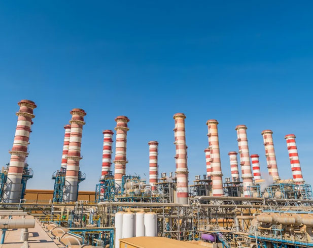 Qatari graduates celebrating